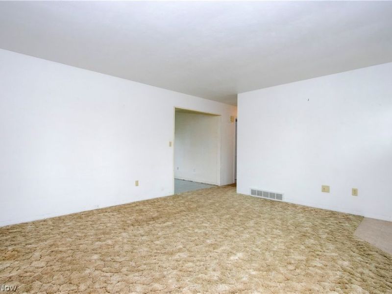 341 Eldorado Drive, Smithville, OH 44677 Photo 3