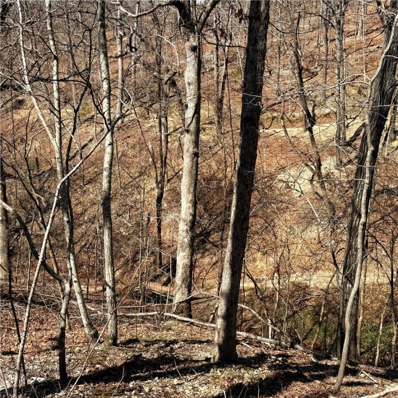 Lot 8 Sheffield Drive, Bella Vista, AR 72714 Main Photo