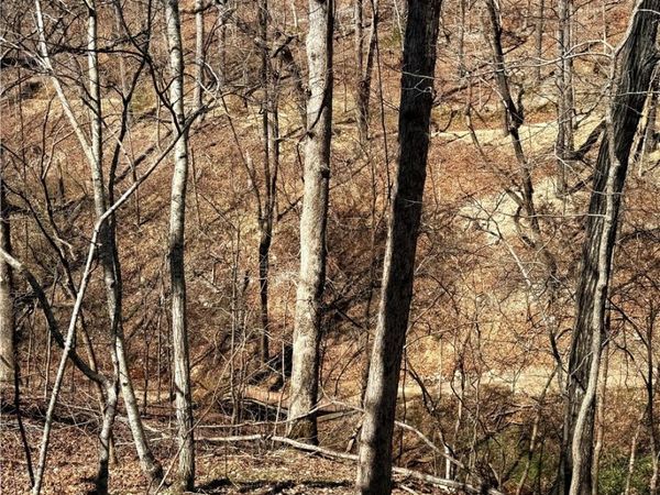 Lot 8 Sheffield Drive , Bella Vista, AR 72714