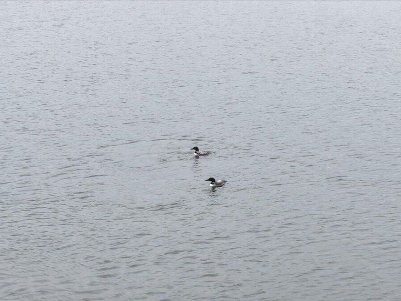 368 Baldwin Drive , Howard, OH 43028 Photo 6