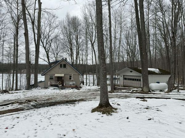 10131 Alpine Drive, Reed City, MI 49677