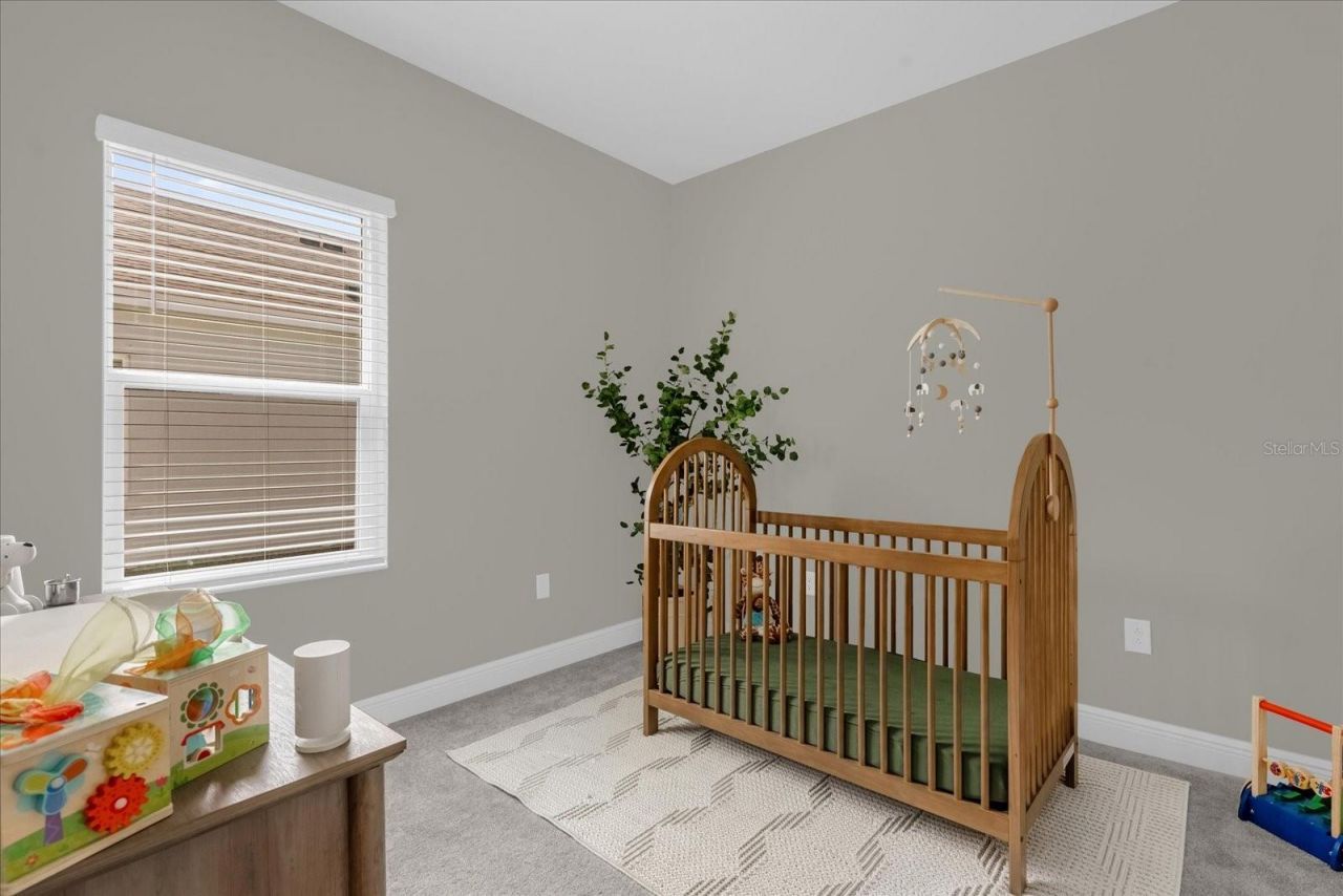 4531 Canoe Creek Avenue, Parrish, FL 34219 Photo