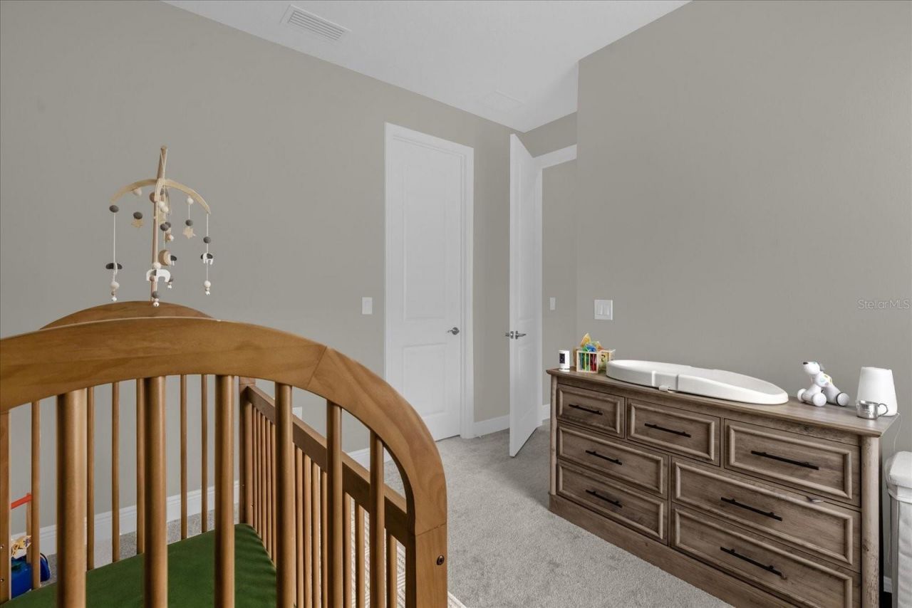 4531 Canoe Creek Avenue, Parrish, FL 34219 Photo