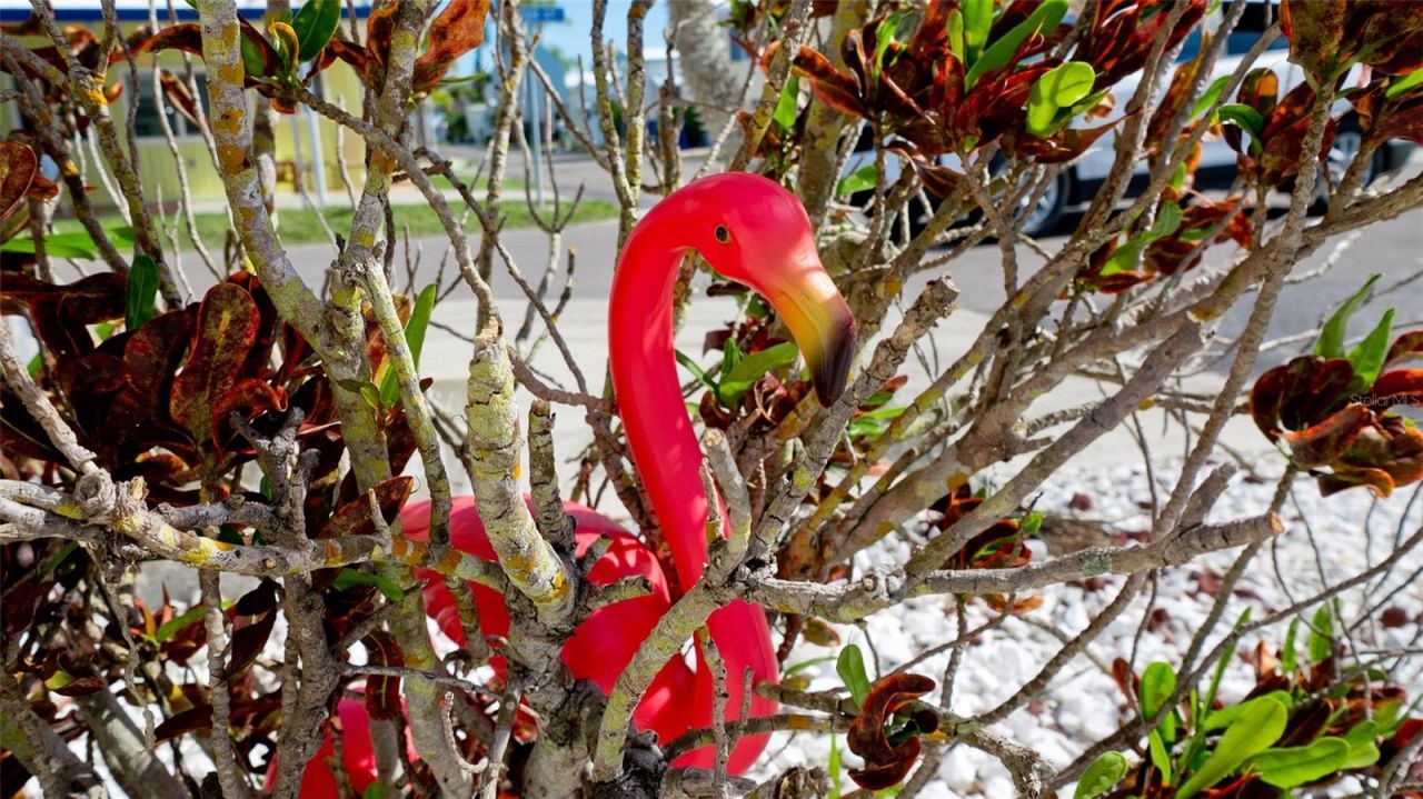 31 1st Street, Bradenton, FL 34210 Photo