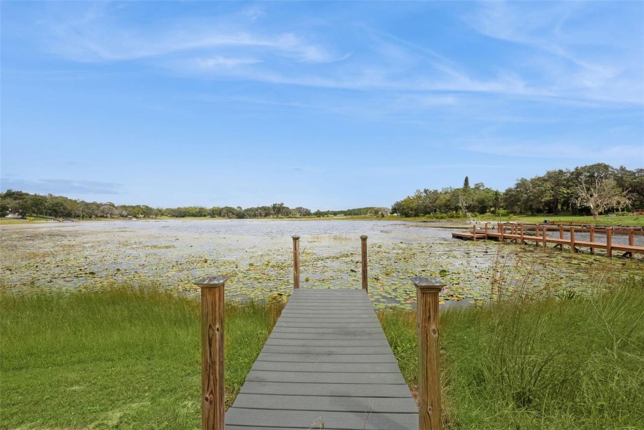 17661 Davenport Road, Winter Garden, FL 34787 Photo