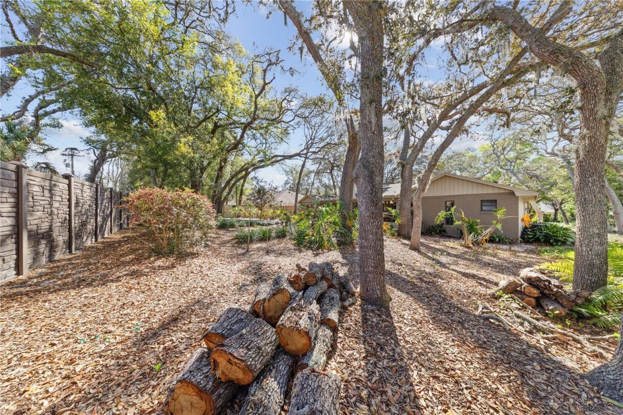 529 Burnt Tree , Apopka, FL 32712 Photo