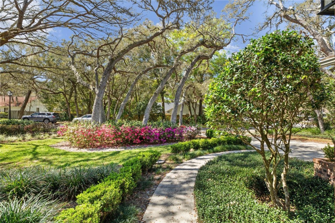 529 Burnt Tree , Apopka, FL 32712 Photo