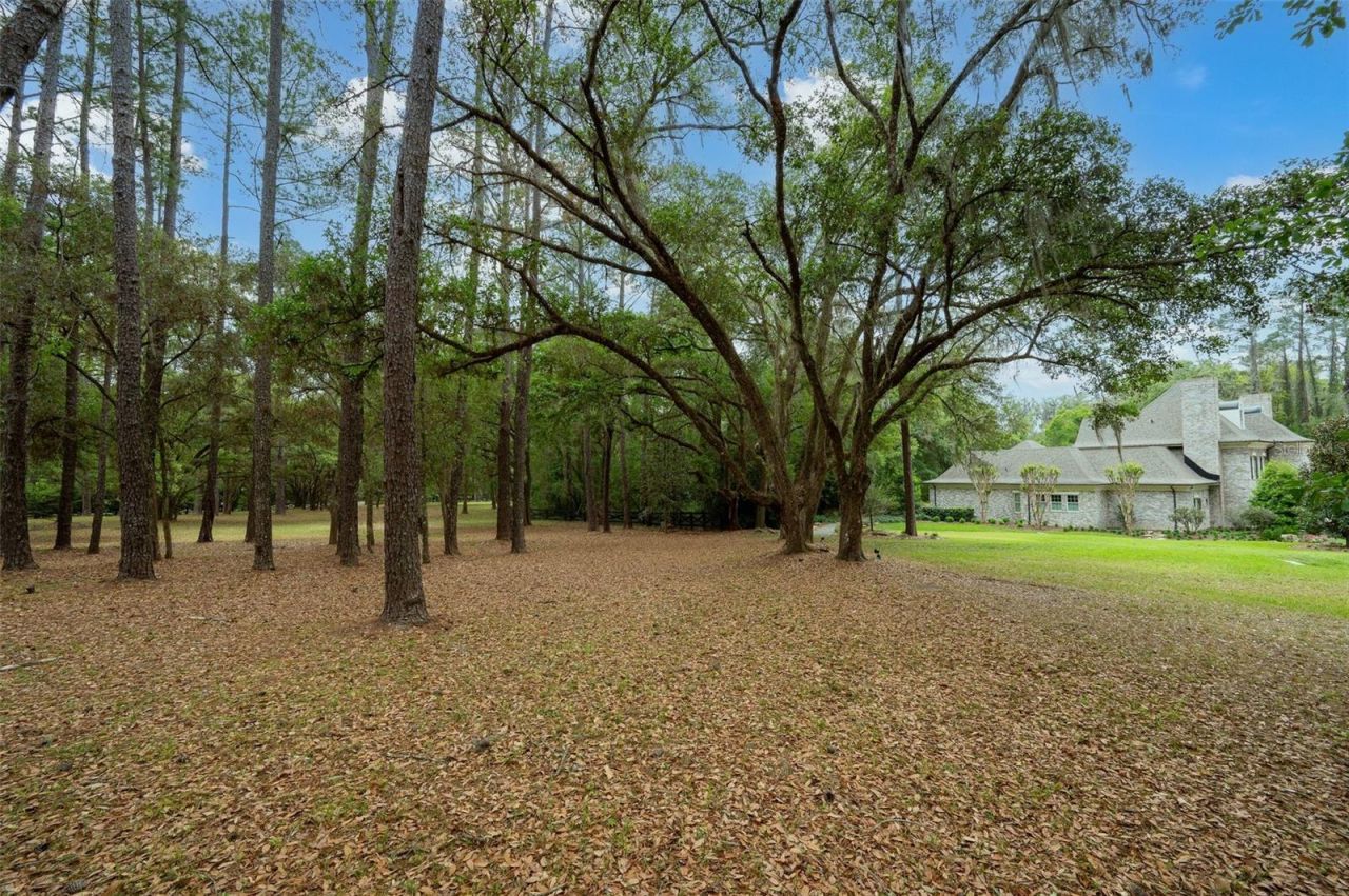 623 SW 93rd Street, Gainesville, FL 32607 Photo