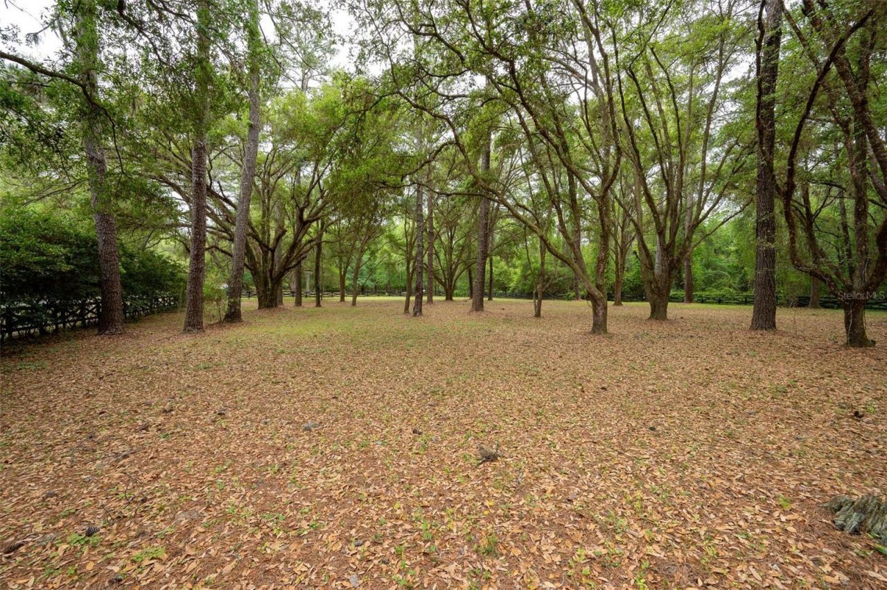 623 SW 93rd Street, Gainesville, FL 32607 Photo