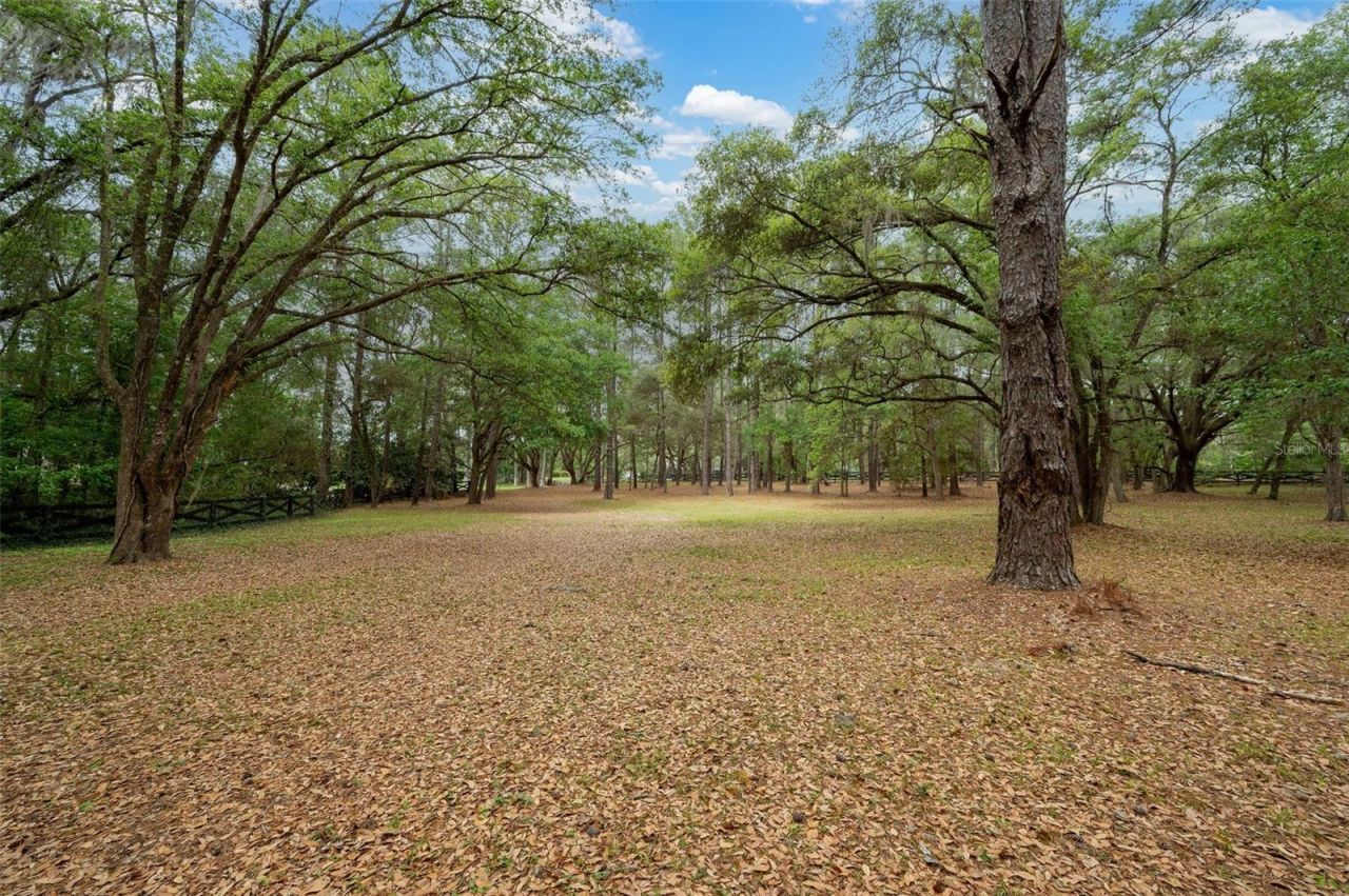 623 SW 93rd Street, Gainesville, FL 32607 Photo