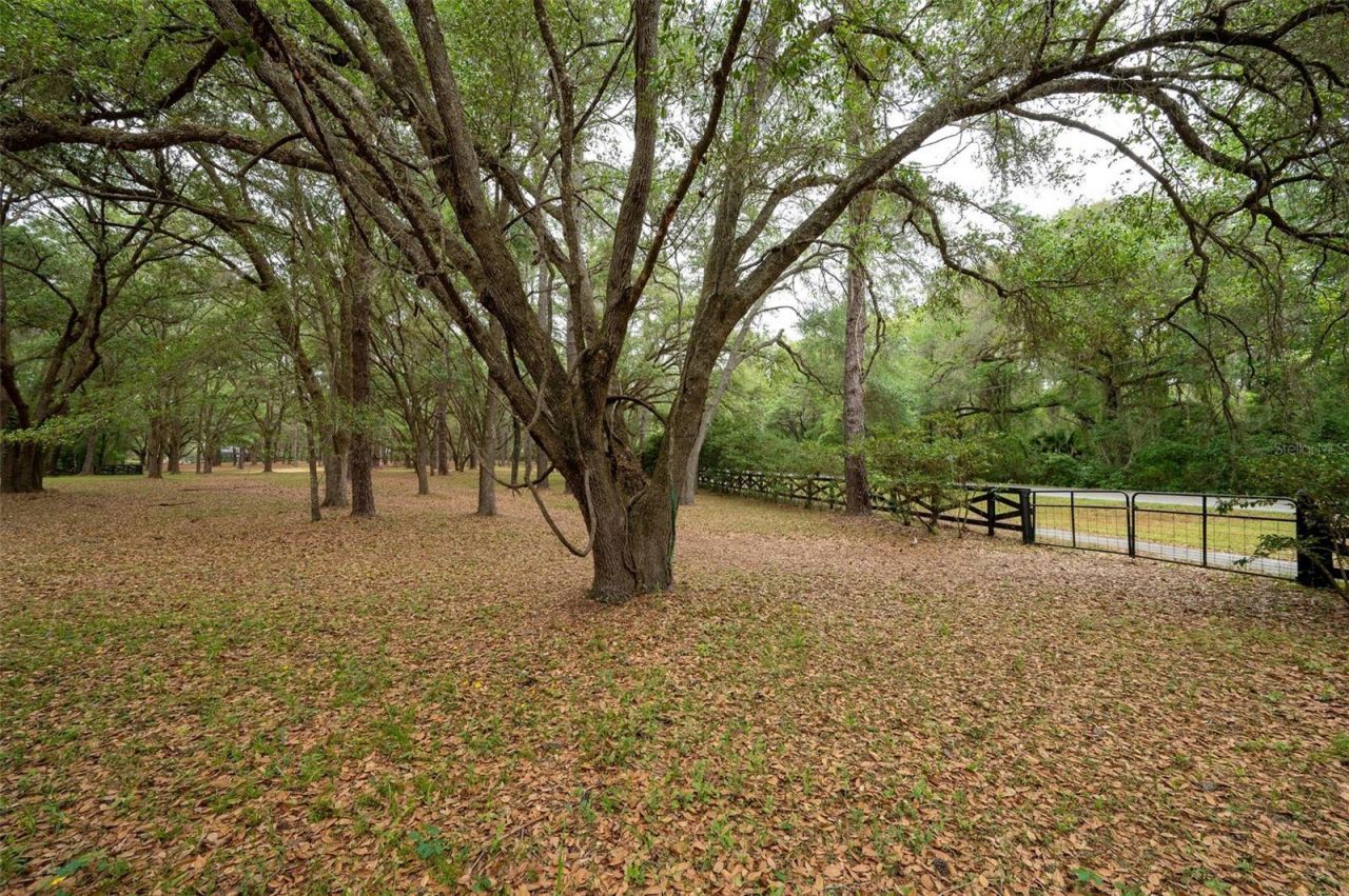 623 SW 93rd Street, Gainesville, FL 32607 Photo