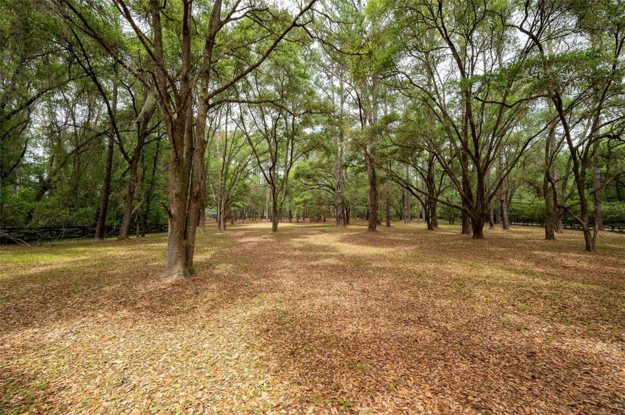 623 SW 93rd Street, Gainesville, FL 32607 Photo