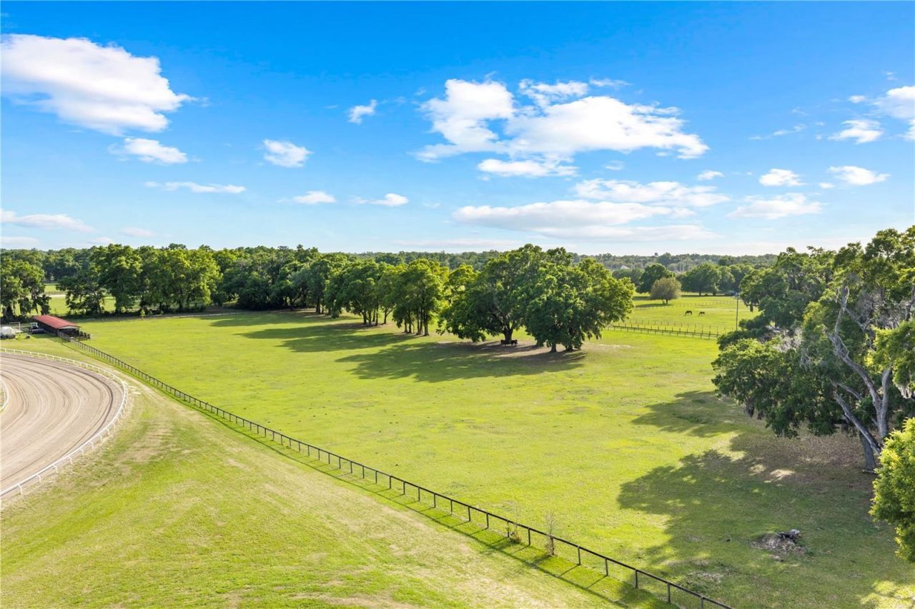 1150 NE 155 Place , Citra, FL 32113 Photo