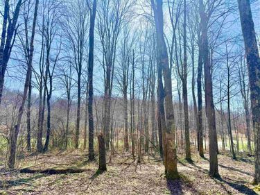 Lot 21 POPLAR Drive, Grafton, WV 26354