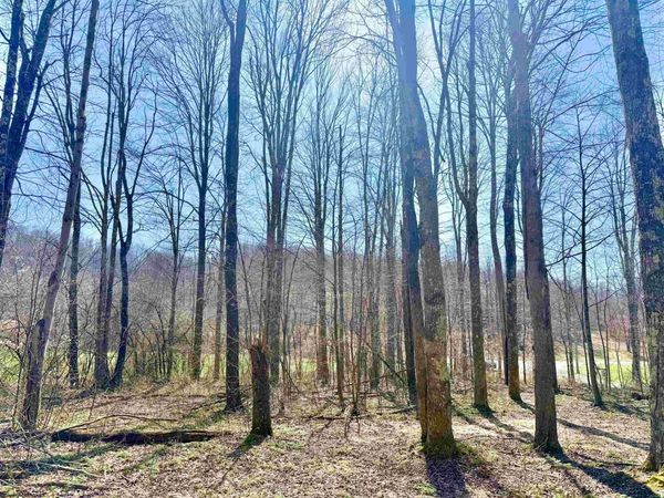 Lot 21 POPLAR Drive, Grafton, WV 26354