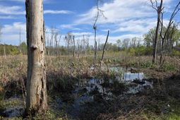 Tbd Blewer Road  photo 4