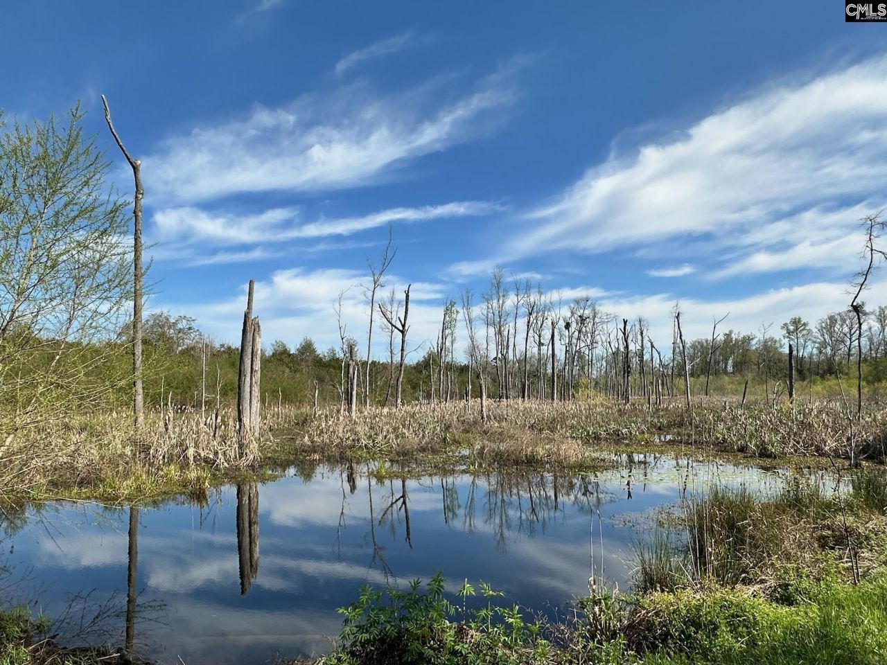 Tbd Blewer Road  Photo 4