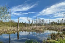 Tbd Blewer Road  photo 4