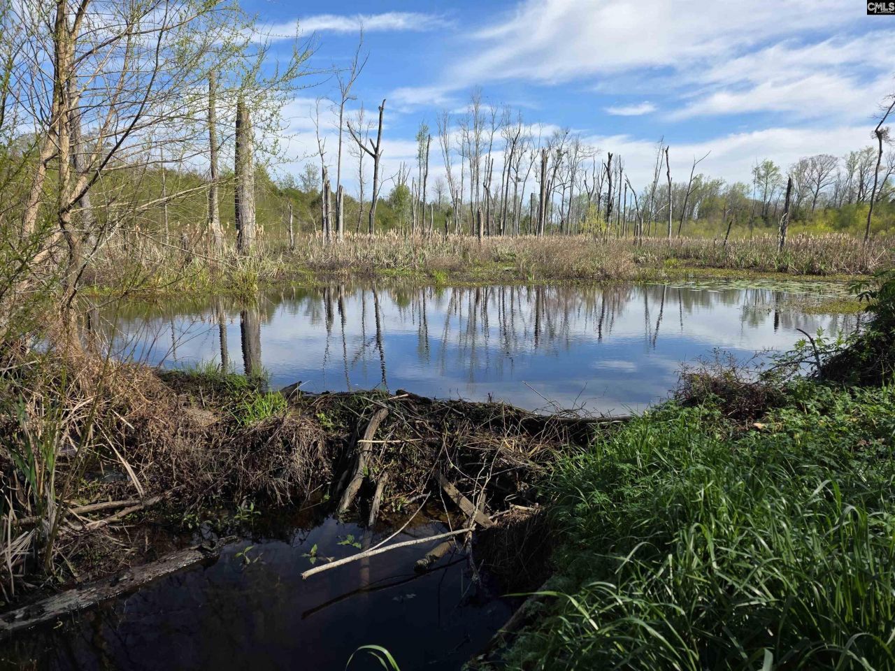 Tbd Blewer Road  Photo 6