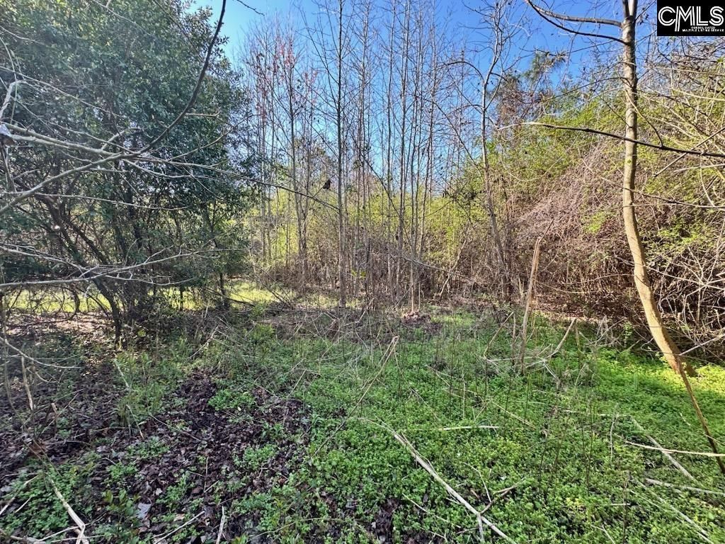 Tbd Blewer Road  Photo 7