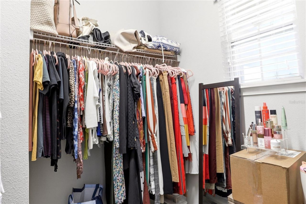 15381 Honeybell Drive , Winter Garden, FL 34787 Photo