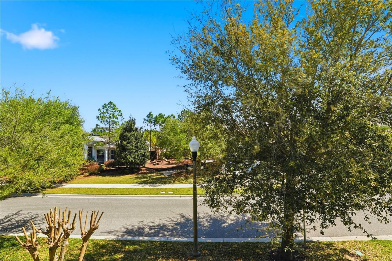 15381 Honeybell Drive , Winter Garden, FL 34787 Photo