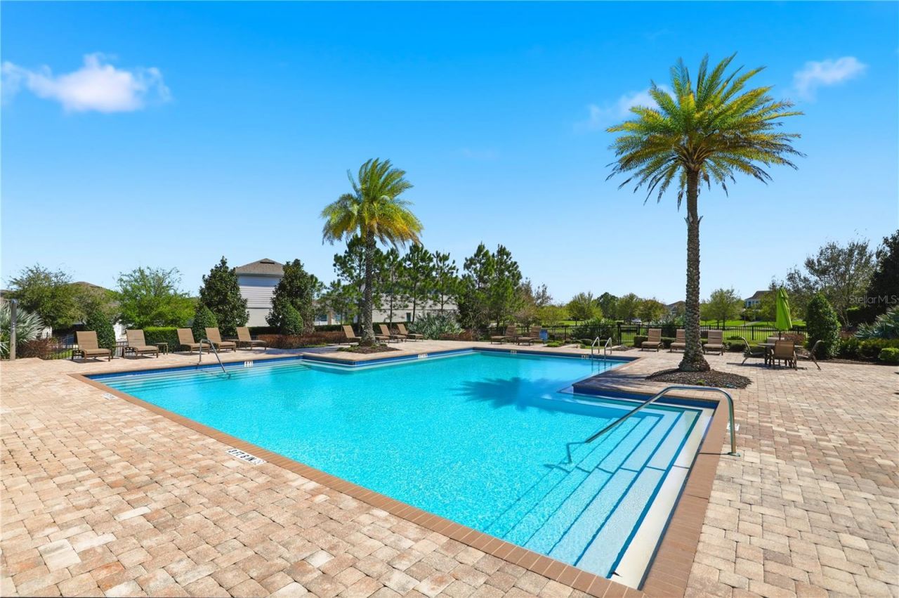 15381 Honeybell Drive , Winter Garden, FL 34787 Photo