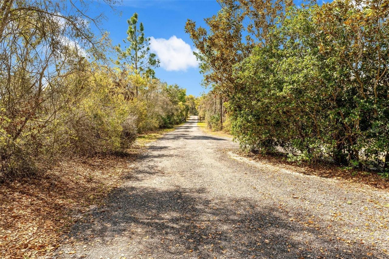 326 Enterprise Osteen Road , Osteen, FL 32764 Photo