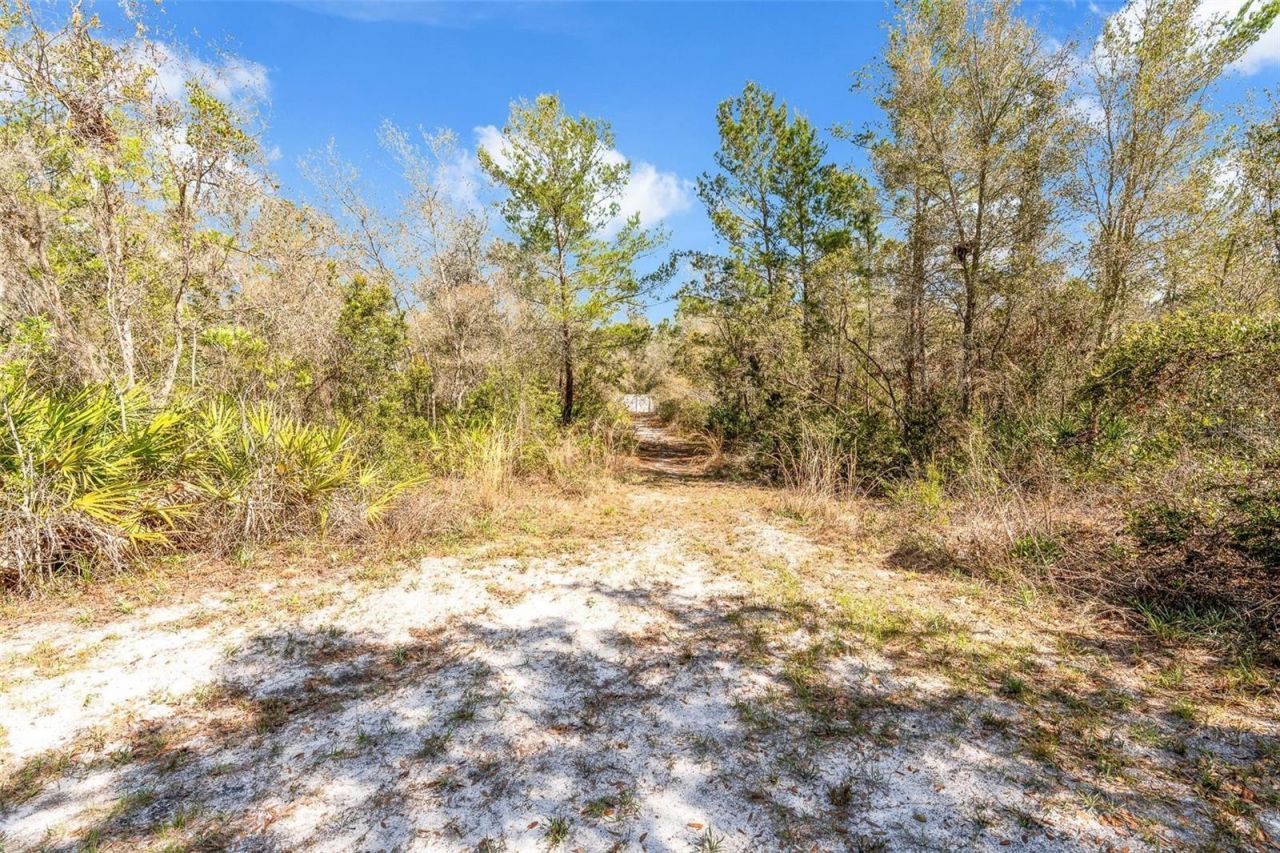 326 Enterprise Osteen Road , Osteen, FL 32764 Photo