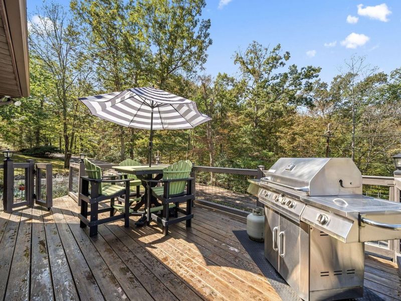 223 Virginia Lane, Waverly, OH 45690 Photo 63