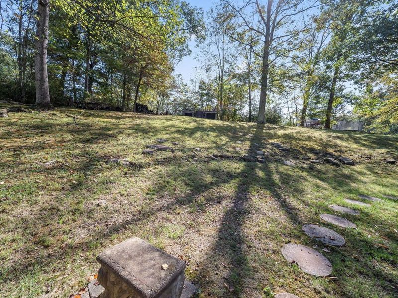 223 Virginia Lane, Waverly, OH 45690 Photo 69