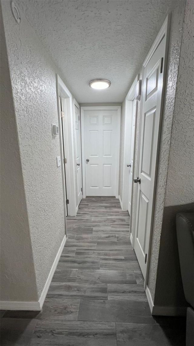 2705 Gardner Place, Holiday, FL 34691 Photo