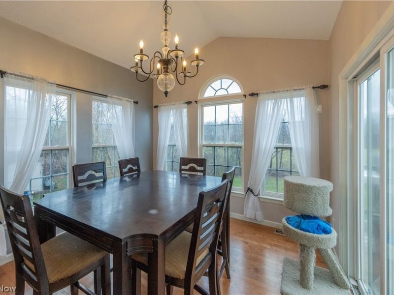 10218 Ridgeview Court, Streetsboro, OH 44241 Photo 11