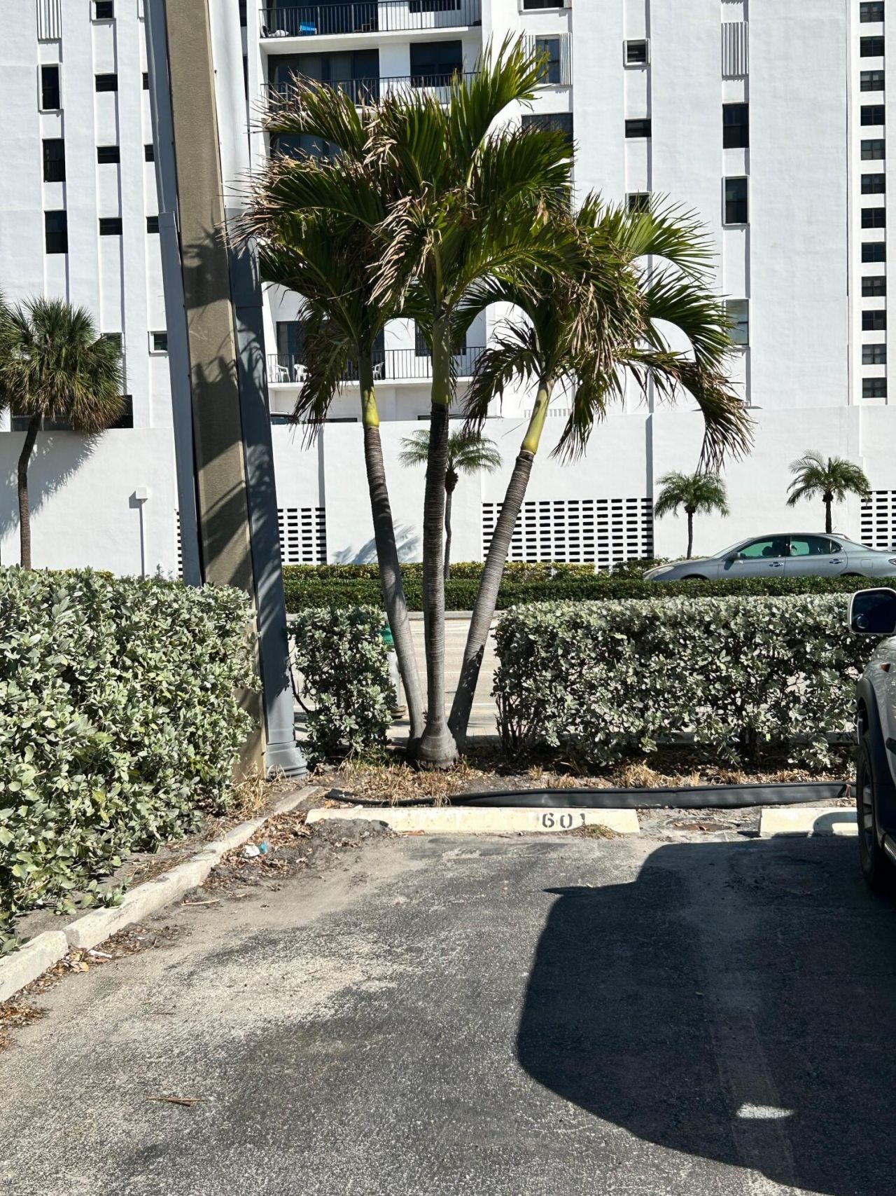 2600 S Ocean Drive, Unit S101, Hollywood, FL 33019 Photo