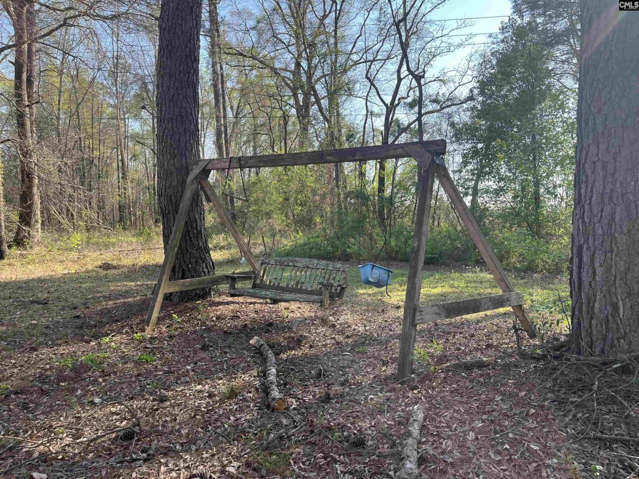 704 Congaree Church Road  Photo 19