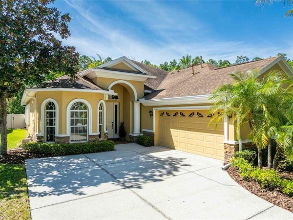 2821 DEVONOAK BOULEVARD , LAND O LAKES, FL 34638