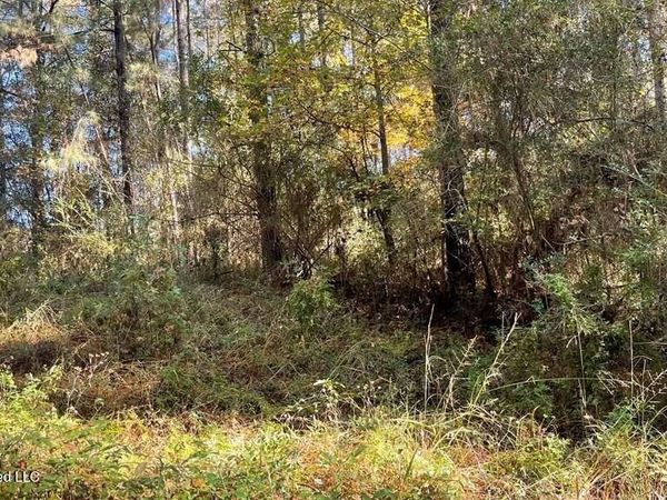 Schmidt Road, McComb, MS 39648