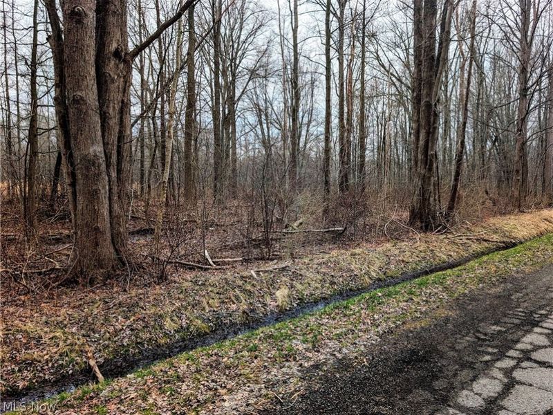 Magnolia Drive, Unit 2, Madison, OH 44057 Photo 2