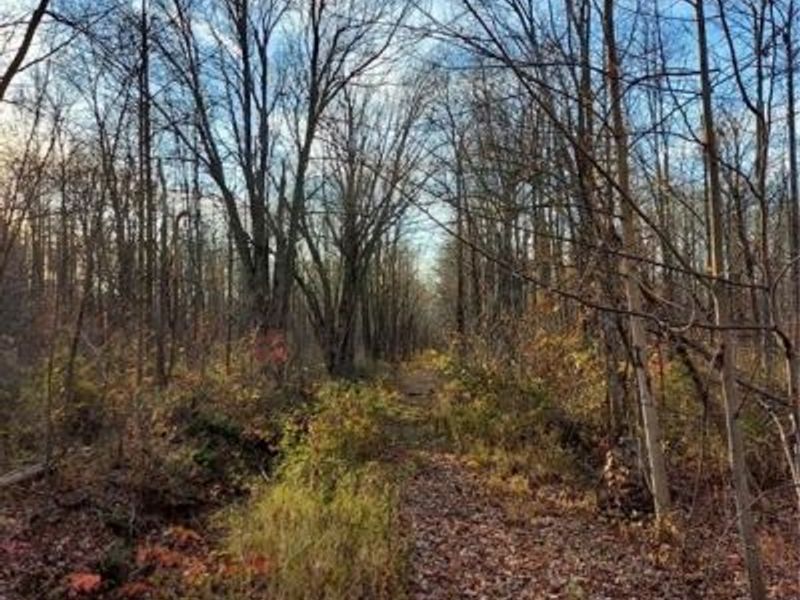 Magnolia Drive, Unit 2, Madison, OH 44057 Photo 4