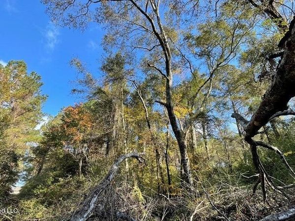 Schmidt Road, McComb, MS 39648