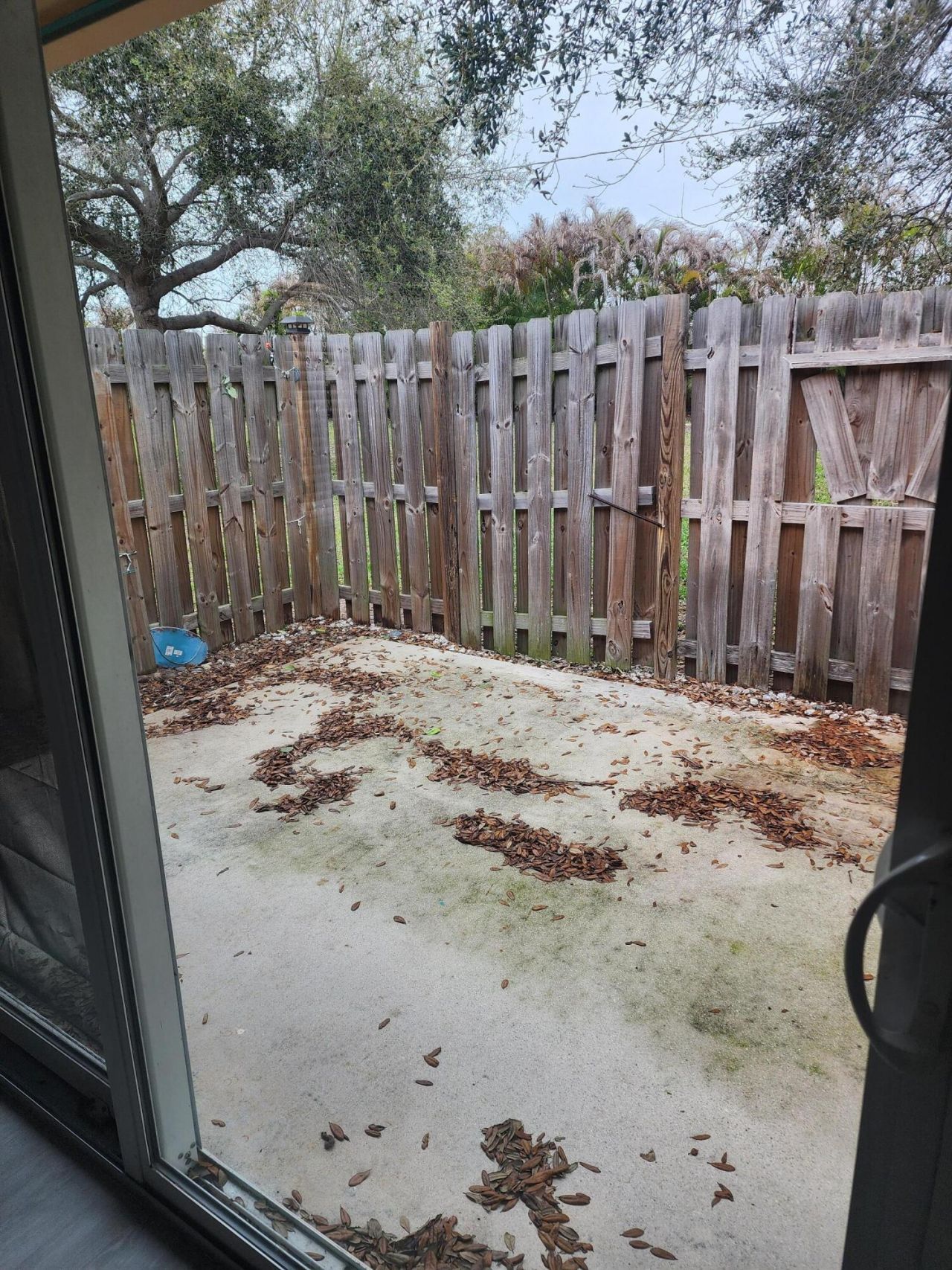 8933 SE Hobe Ridge Avenue, Hobe Sound, FL 33455 Photo