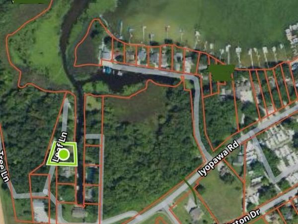 Tree Lane, Coldwater, MI 49036