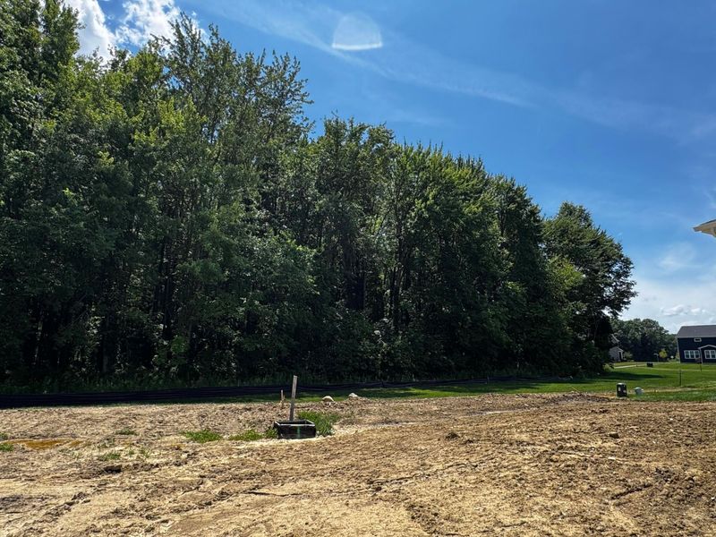 3277 Tender Avenue, Unit Lot 7168, Powell, OH 43065 Photo 43