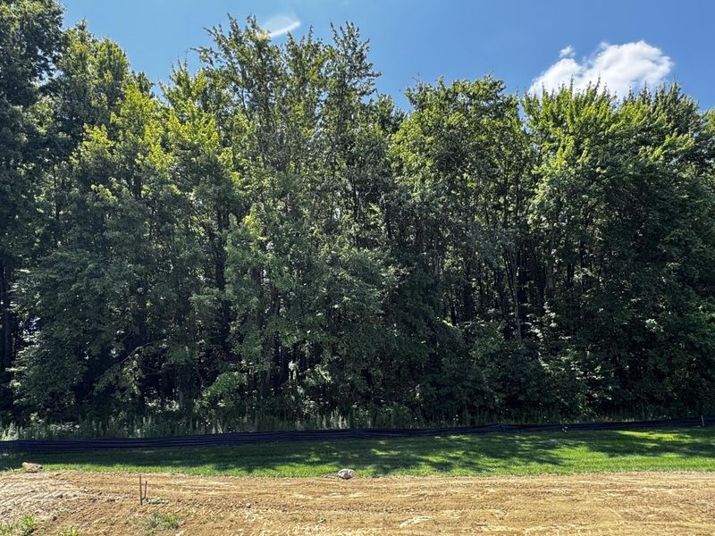 3277 Tender Avenue, Unit Lot 7168, Powell, OH 43065 Photo 48