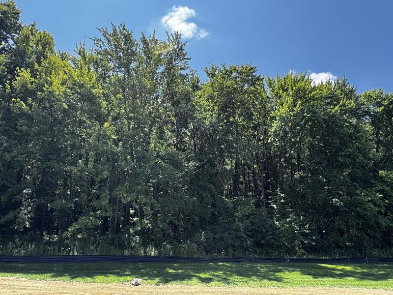 3277 Tender Avenue, Unit Lot 7168, Powell, OH 43065 Photo 49