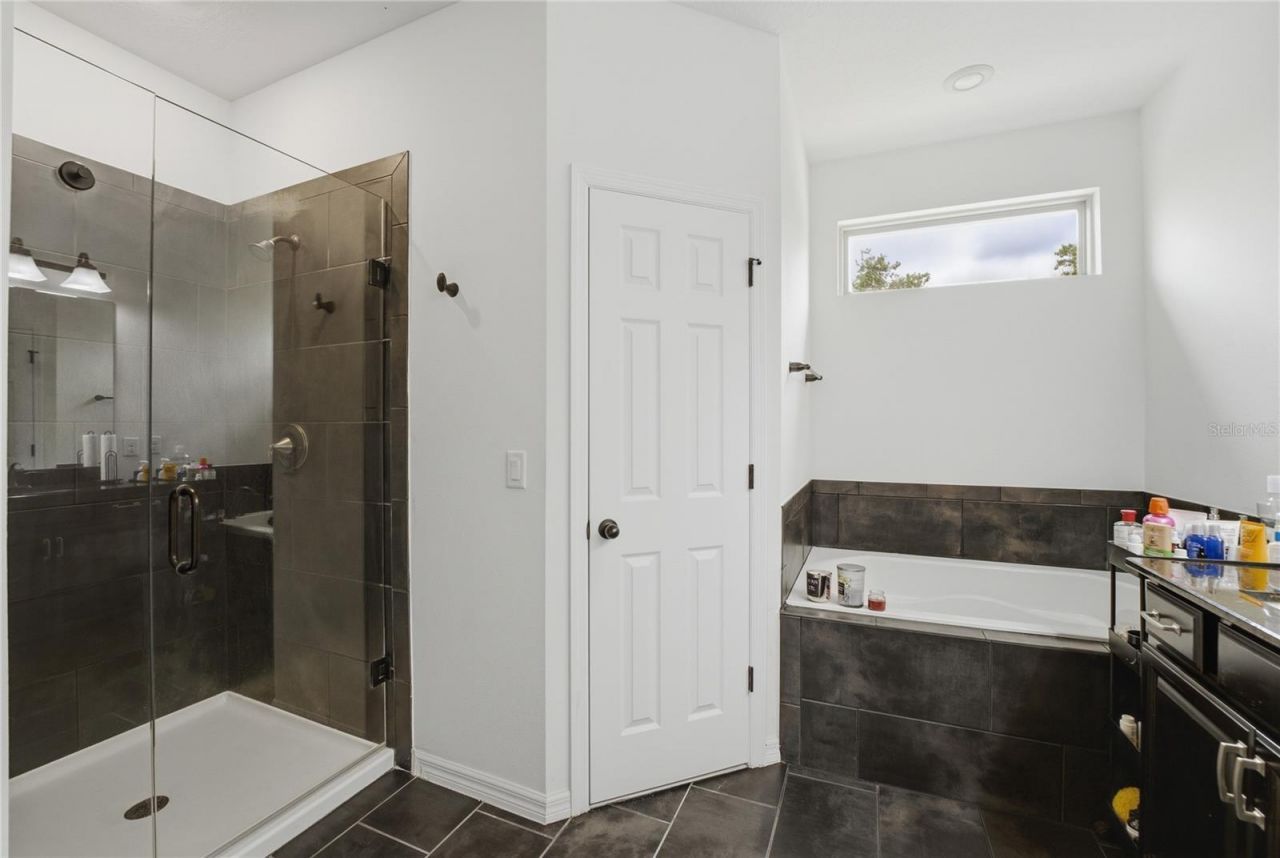 3129 Pinenut Drive , Apopka, FL 32712 Photo