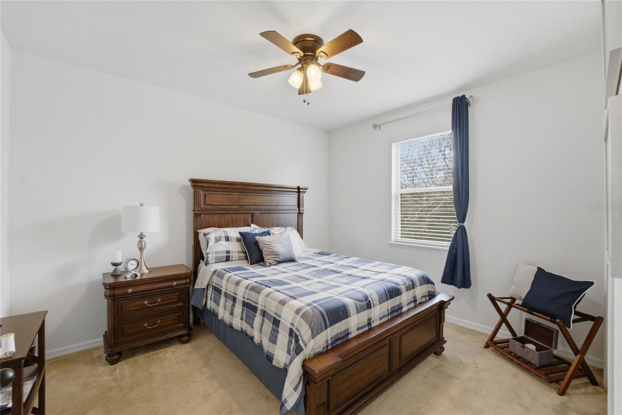 3129 Pinenut Drive , Apopka, FL 32712 Photo