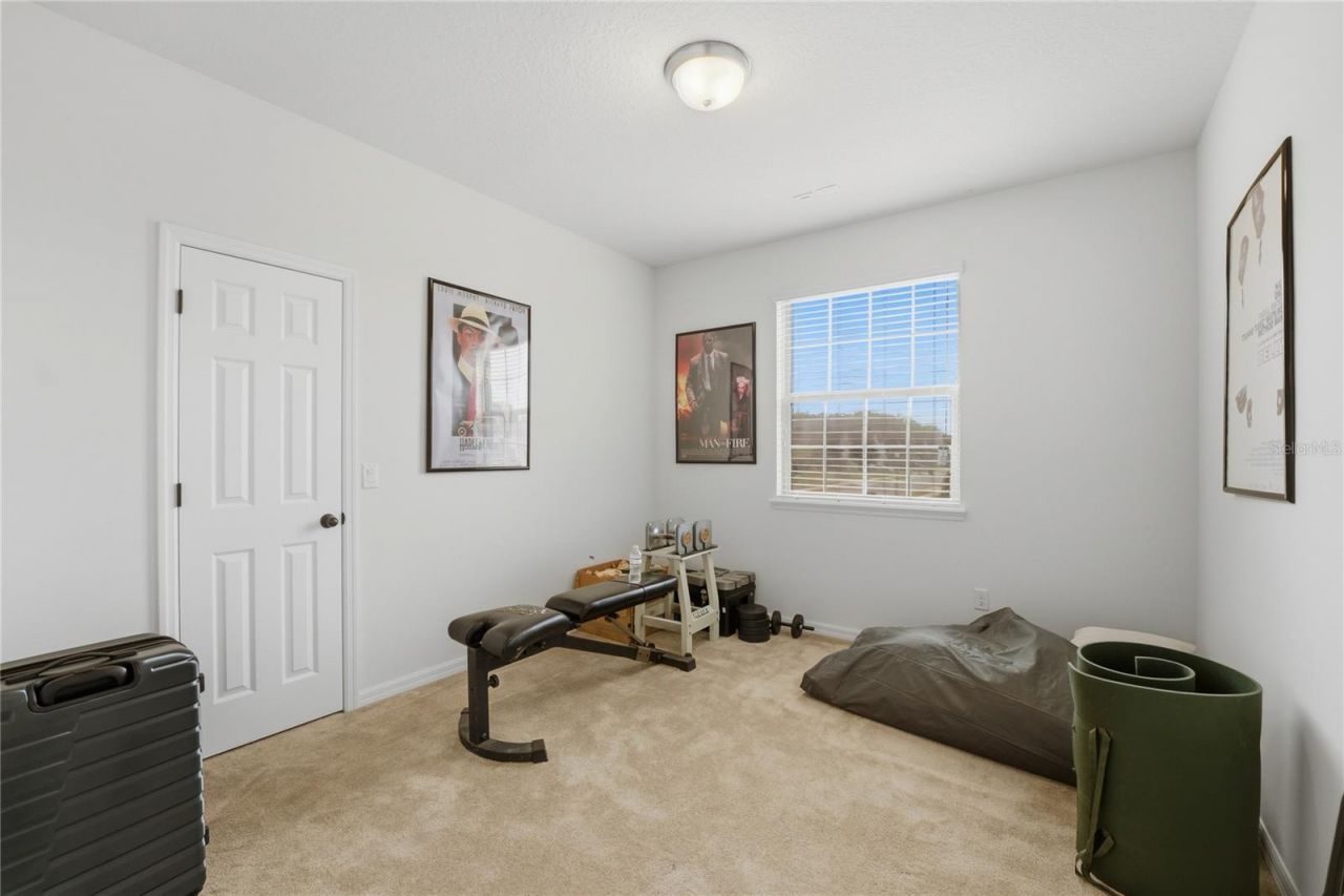 3129 Pinenut Drive , Apopka, FL 32712 Photo