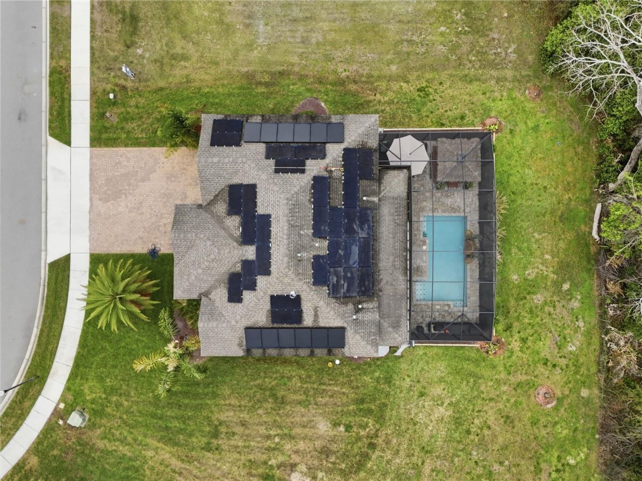 3129 Pinenut Drive , Apopka, FL 32712 Photo