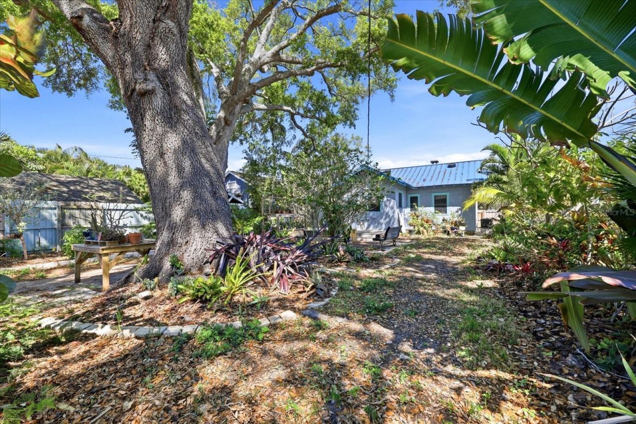 1024 23rd Avenue N, Saint Petersburg, FL 33704 Photo